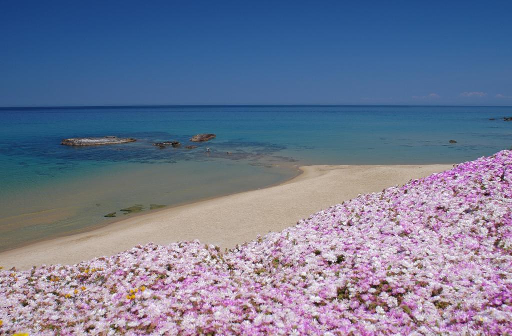 Ferienwohnung La Rosa Del Mare Castelsardo Exterior foto