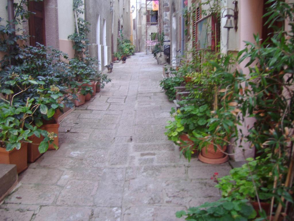 Ferienwohnung La Rosa Del Mare Castelsardo Exterior foto
