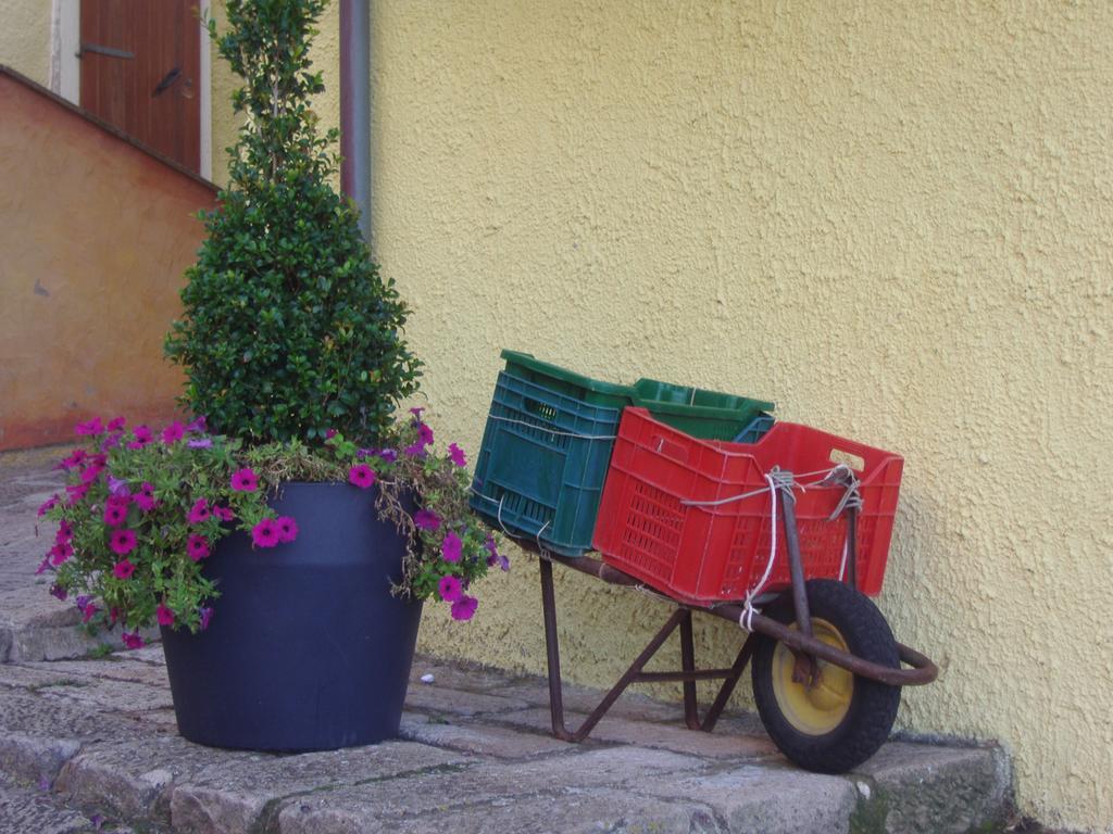 Ferienwohnung La Rosa Del Mare Castelsardo Exterior foto